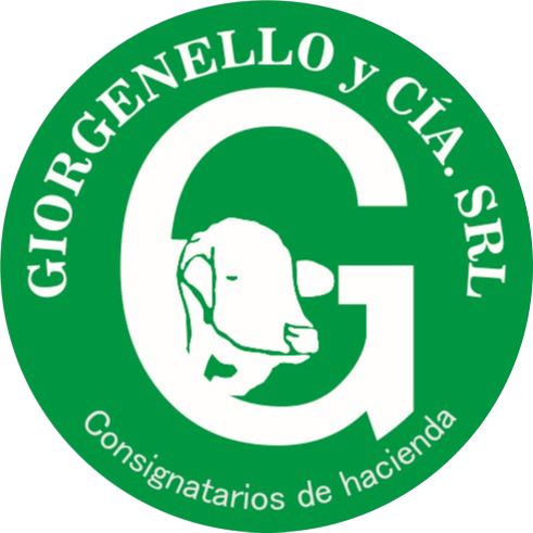 293990414_100710462734614_5388839517331208303_n