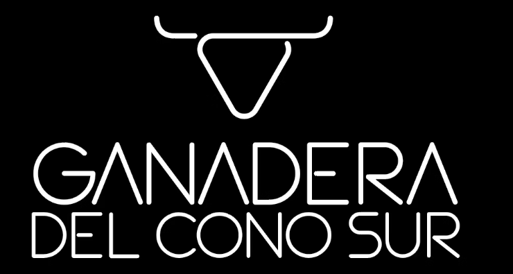 Captura de pantalla 2025-08-07 141320