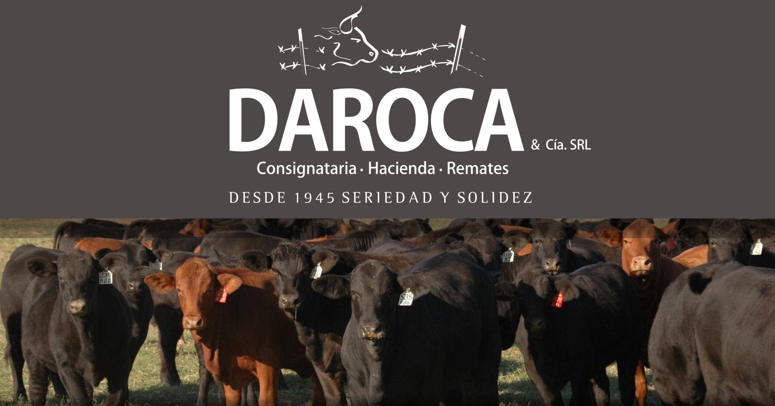 Daroca y Cia SRL