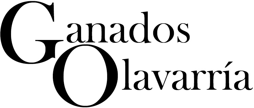 Ganados de Olavarria