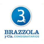 Brazzola y cia srl