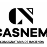 Casnem